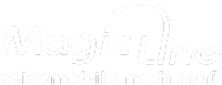 Magicline Wehle Logo weiß - Reisemobile nach maß